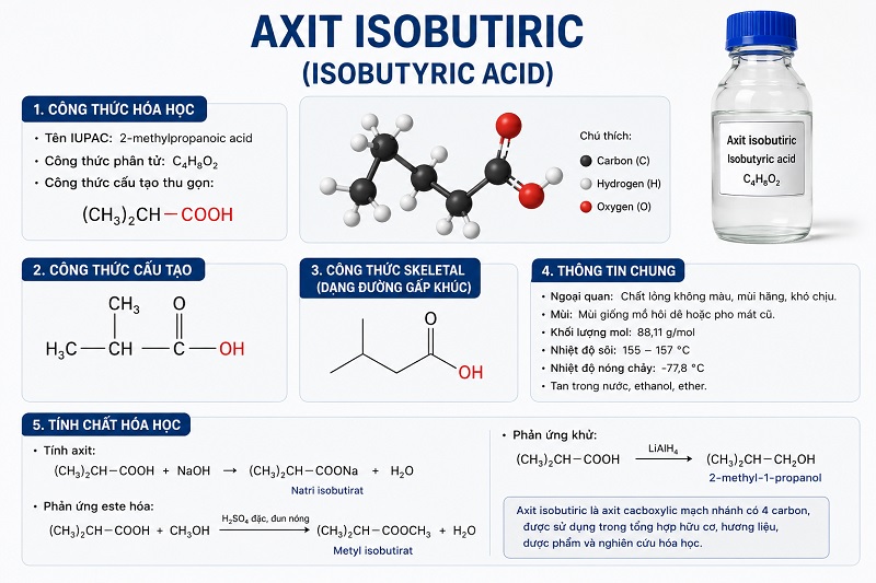Axit Isobutiric là gì? Tính chất, Công thức & Ứng dụng Công nghiệp