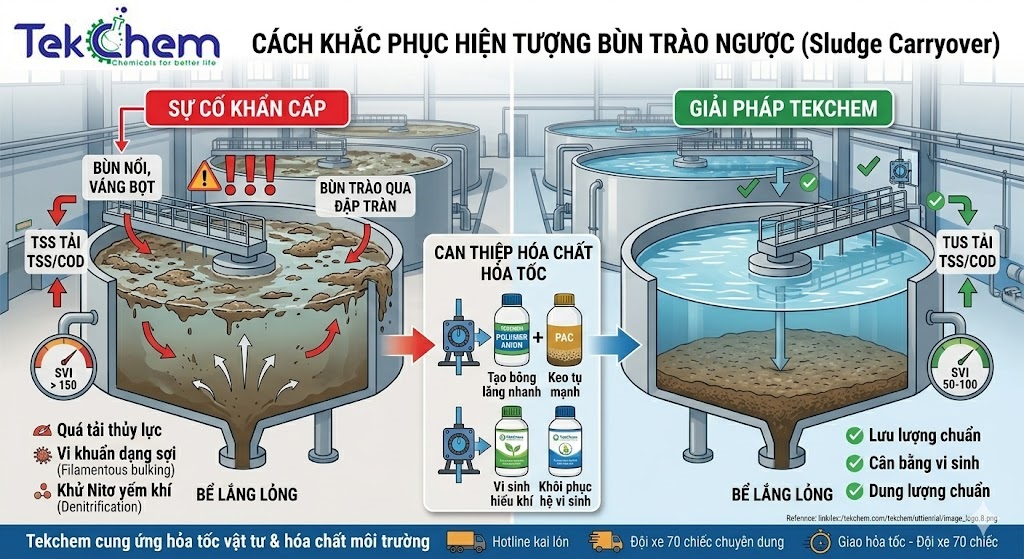Cách Khắc Phục Bùn Trào Ngược Xử Lý Nước Thải Triệt Để