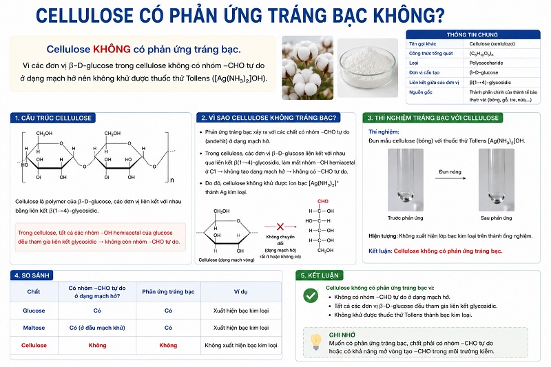 Cellulose có phản ứng tráng bạc không? Câu trả lời là KHÔNG.