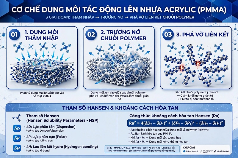 Cơ chế trương nở và phân tán của phân tử nhựa Acrylic trong môi trường dung môi hữu cơ