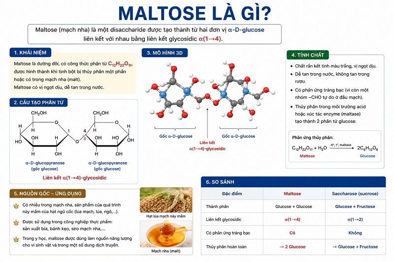 Maltose (tên thông dụng là đường mạch nha) là một loại đisaccarit được tạo thành từ hai đơn vị glucose liên kết với nhau