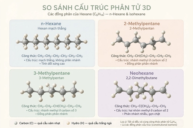 Sự khác biệt về cấu trúc không gian giữa n-Hexane mạch thẳng và các đồng phân mạch nhánh của Hexane