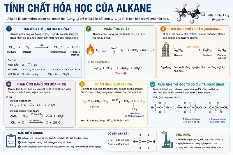 Tính chất hóa học của Alkane: Cẩm nang chuyên sâu & So sánh Alkene