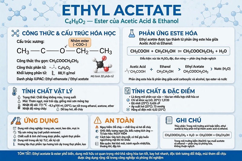 Cấu trúc hóa học dung môi Ethyl Acetate C4H8O2