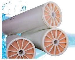 Màng lọc RO Toray TM820H