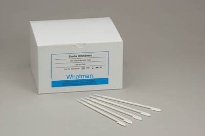 Que quấn gòn tiệt trùng, dùng lấy mẫu với FTA card Whatman WB100035