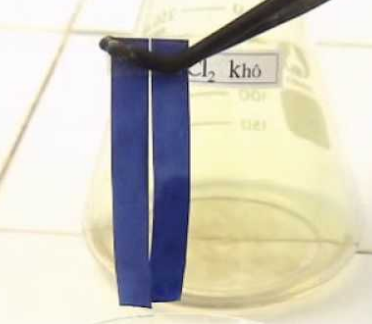 Giấy quỳ xanh Trung Quốc  GI0900