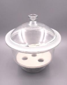 Bình hút ẩm có nắp không vòi Cordial Lab Trung Quốc 1351