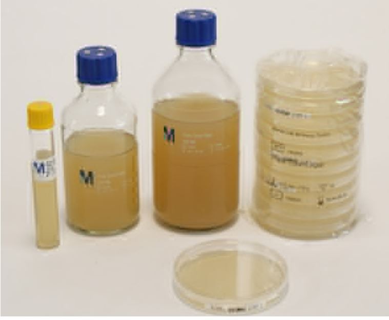 Plate Count Agar 200ml Merck Đức  1463650006