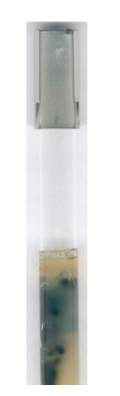 Sulfite iron agar (base) for microbiology Merck Đức 1108640500