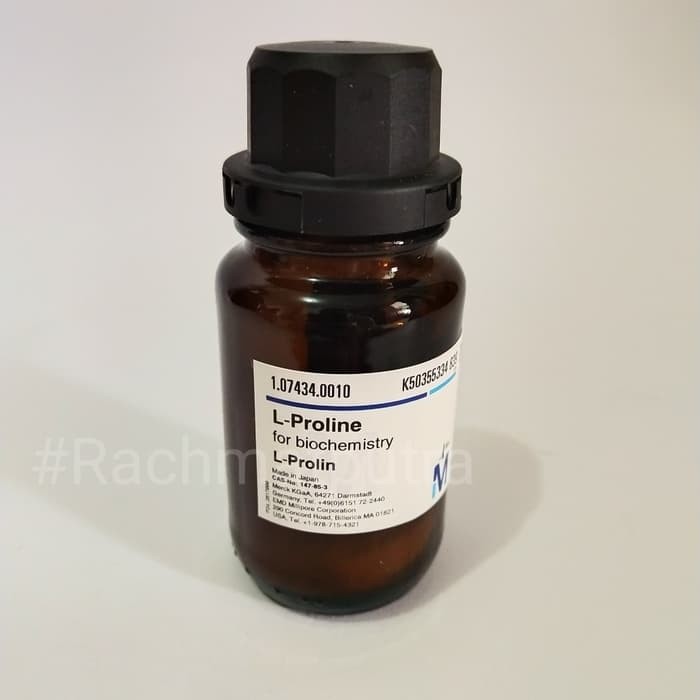 L-Proline for biochemistry 10g Merck 1074340010