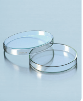 Đĩa petri thủy tinh 100x10mm Duran 237554505