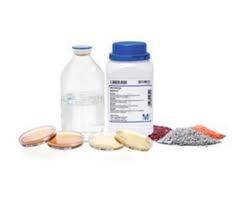 Peptone from casein (Tryptone) pancreatically digested, granulated for microbiology 1kg Merck 1072131000