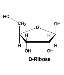 D(-)-Ribose for biochemistry Merck 1076050050