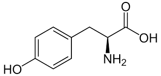 L-Tyrosine for biochemistry 10kg Merck 1083719010