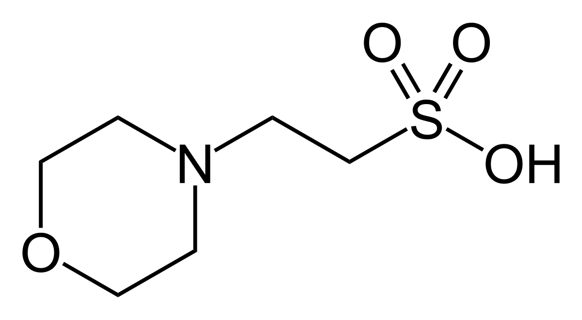 2-Morpholinoethanesulfonic acid monohydrate buffer substance MES 250g Merck 1061260250