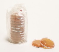 SDA Contact w. LTHTh - ICR 200PC Merck 1462010200