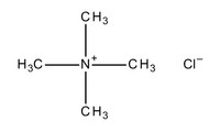 Tetramethylammonium chloride for synthesis 1kg Merck 8221561000