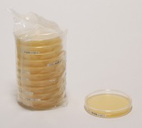 SDA w. Cm acc. EP - LI 20PC Merck 1460030020