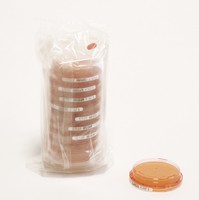 Sab-Gluc-Cont. A +LTHTh-ICR+ 20PC Merck 1465010020