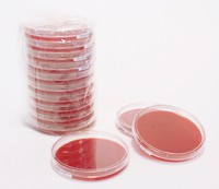 Columbia Blood Agar Pharm 20PC Merck 1465590020