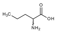 DL-Norvaline for synthesis 25g Merck 8415620025