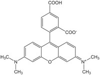 5-Carboxy-tetramethylrhodamine Novabiochem® 10mg Merck 8510268010