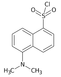 5-Dimethylaminonaphthalene-1-sulfonyl chloride for biochemistry 10g Merck 1030940010
