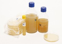 DEV Nutrient Agar 20PC Merck 1462890020