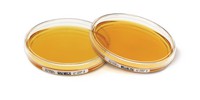 Tryptic Soy Agar - ICR 30ml 20PC Merck 1460010020