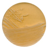 Tryptic soy agar with polysorbate 80 and lecithin for microbiology Merck 1073240500