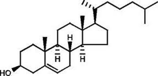 Cholesterol, 95%, stabilized 100g Acros 110191000