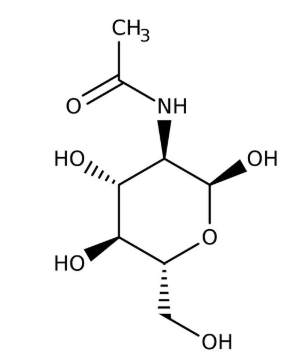 2-Acetamido-2-deoxy-alpha-D-glucopyranose, 99+% 25g Acros 102560250