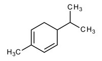 α-Phellandrene for synthesis 100ml Merck 8148930100