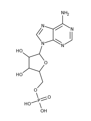 Adenosine 5'-monophosphate, 99% 5g Acros 102790050