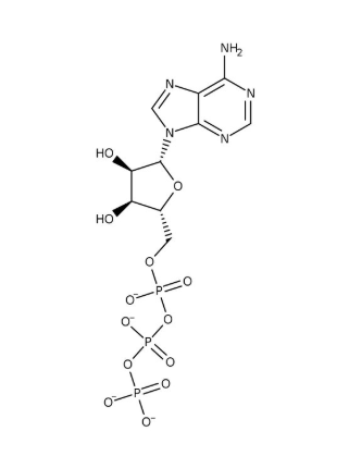 Adenosine 5'-triphosphate, disodium salt hydrate, 98% 50g Acros 102800500