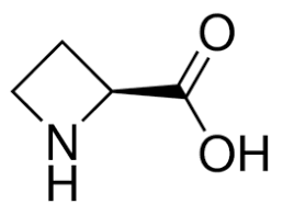 (S)-(-)-2-Azetidinecarboxylic acid, 99+% 250mg Acros 105142500
