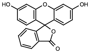 Fluorescein, pure 25g Acros 119240250