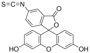 Fluorescein isothiocyanate isomer I, 90% pure 5g Acros 119250050
