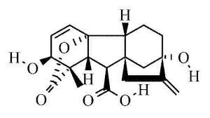 Gibberellic acid, 90% 1g Acros 119860010