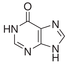 Hypoxanthine, 99.5% 100g Acros 122011000
