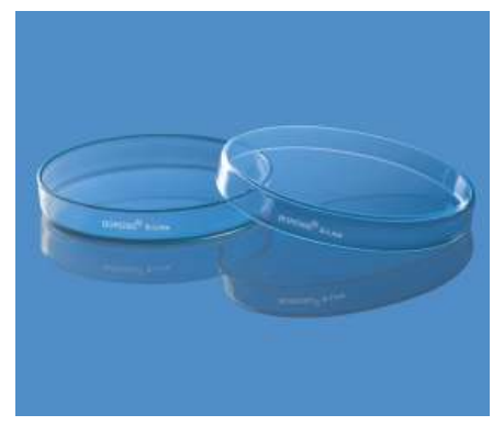 Đĩa Petri S - Line4 soda lime borosil 3165077
