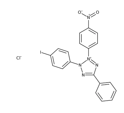Iodonitrotetrazolium chloride 98% 1g Acros 122400010