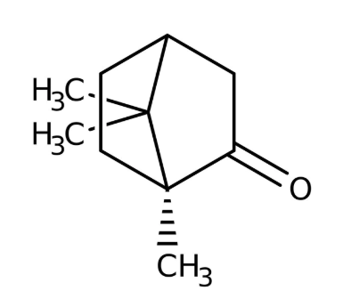 L(-)-Camphor, 98%, 10g,Acros 108190100