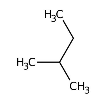2-Methylbutane 99+% extra pure 2.5 lít Acros 126470025
