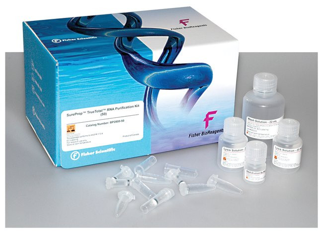Sureprep™ Small RNA Purification Kit, spin column with a proprietary resin Bioreagents BP2801-25