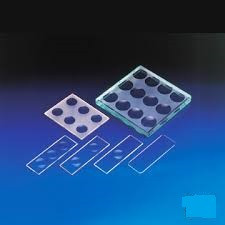Kline Concavity Slides 6 Concavities Thickness: 3 mm, Size: 75 x 56 mm GW094-1PK Himedia