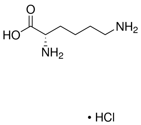 L(+)-Lysine Monohydrochloride ≥99%,100g Acros 125221000