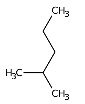2-Methylpentane 99+% pure 2.5l Acros 127340025