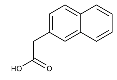 2-Naphthylacetic acid 99%,100g Acros 128221000